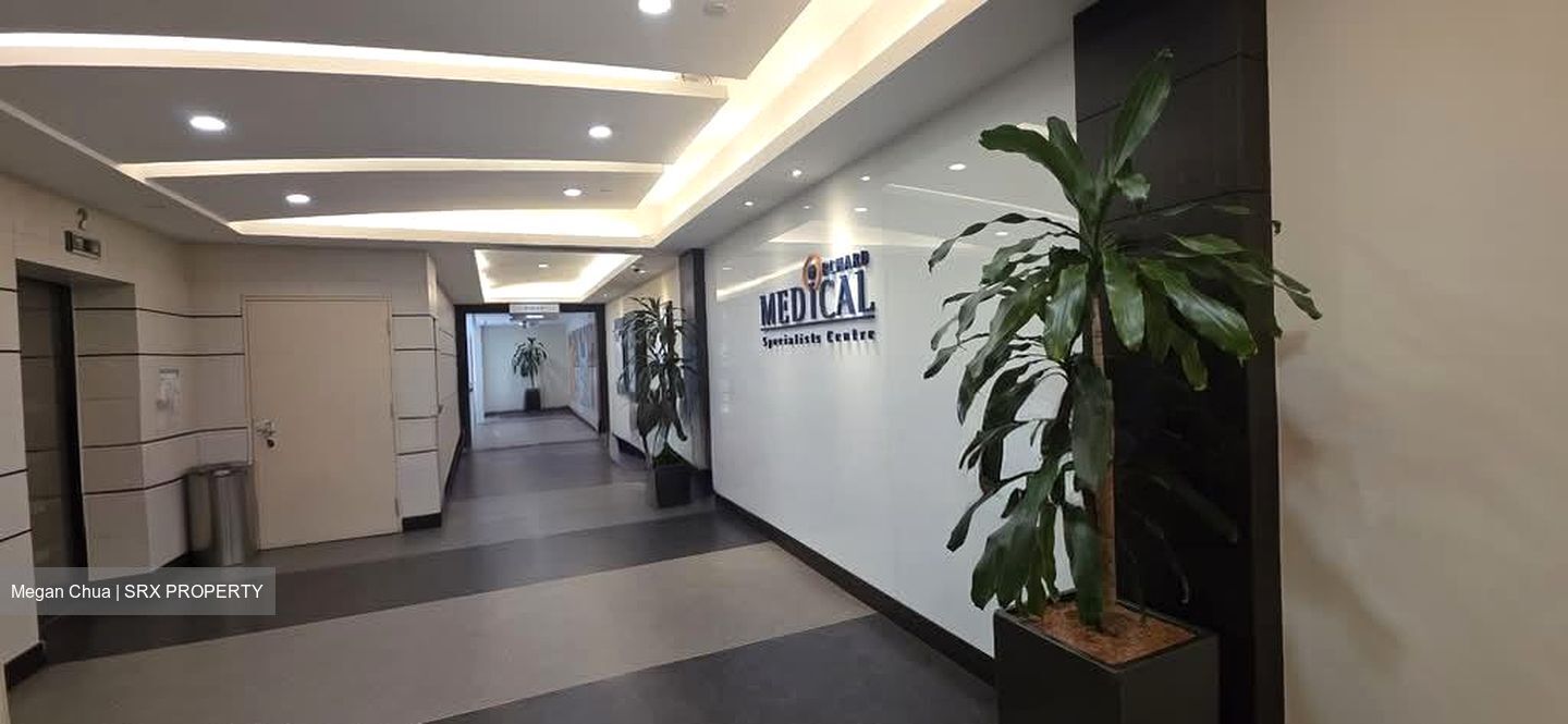 Lucky Plaza (D9), Retail #553434511